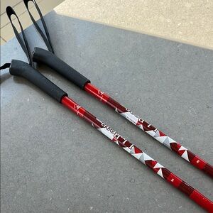 LLBean kids ski poles